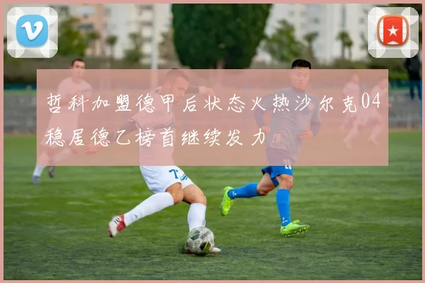哲科加盟德甲后状态火热沙尔克04稳居德乙榜首继续发力