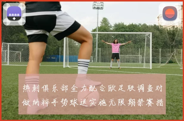 热刺俱乐部全力配合欧足联调查对做纳粹手势球迷实施无限期禁赛措施